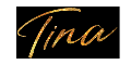 Tina Turner the Musical